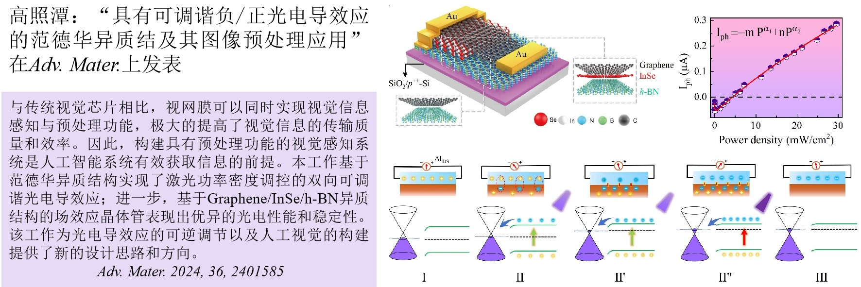 高照潭：具有可调谐负/正光电导...